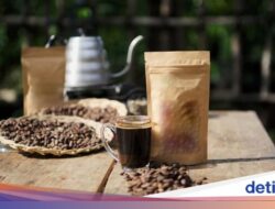 Keistimewaan Minuman Gayo, Minuman Aceh yang Masuk Daftar Biji Minuman Terenak Di Dunia