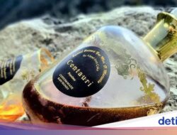 8 Madu Termahal Di Dunia, Ada yang Harganya Tembus Rp185 Juta per Kg!